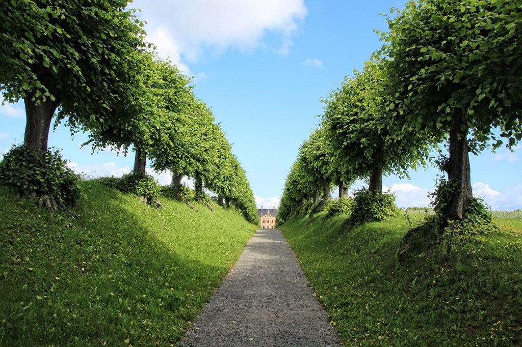 Tuintrends voor het komende jaar: duurzame beplanting met inheemse planten en natuurlijke materialen